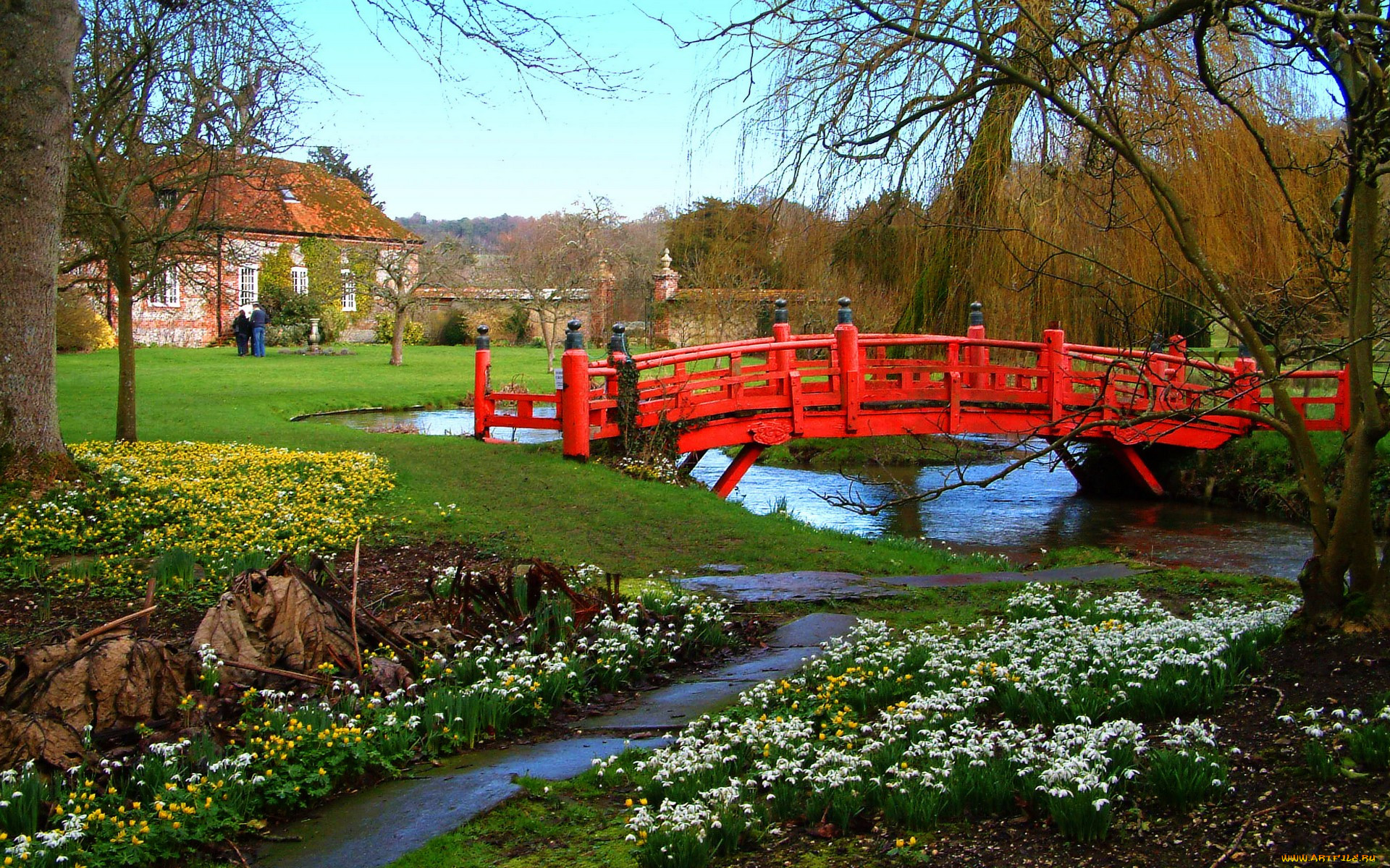 spring, snowdrops, and, aconites, at, heale, house, in, wiltshire, , 